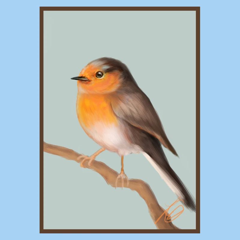 robin