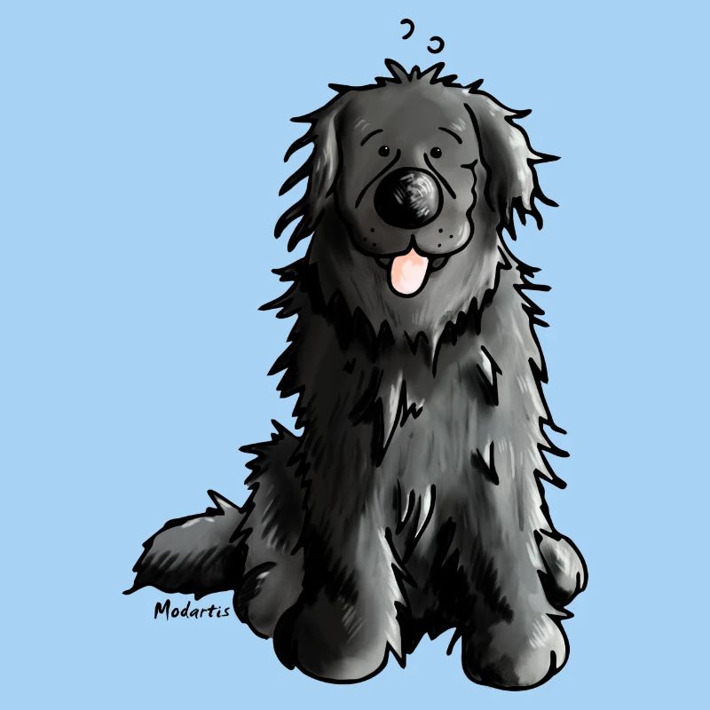 Neufundländer - Neufi - Hund