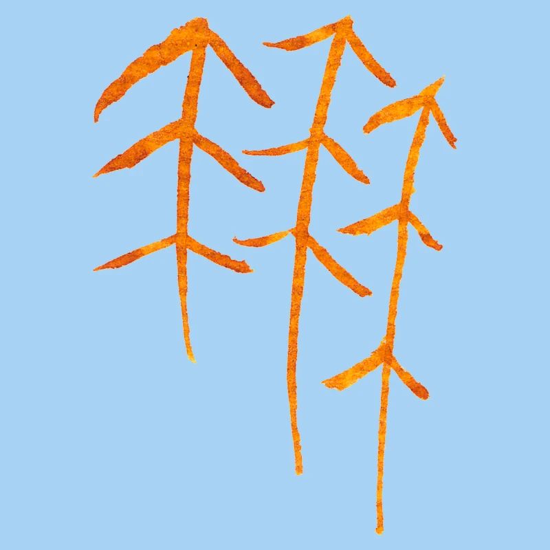 Fir Runes / Forest Symbol