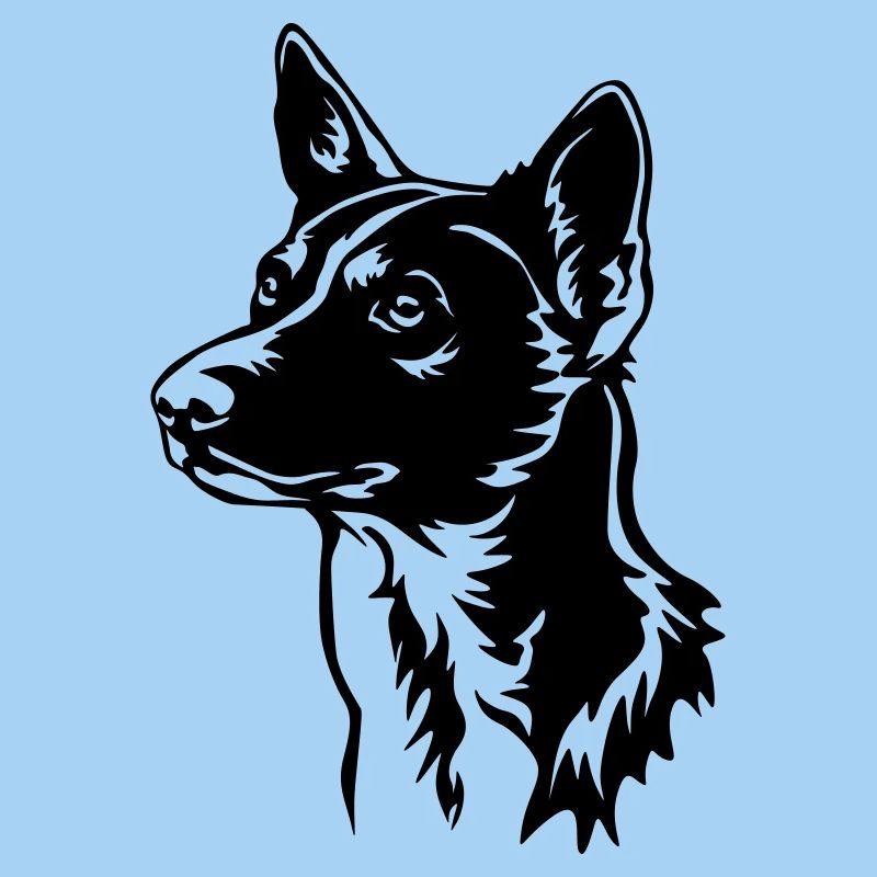 Basenji Kopf