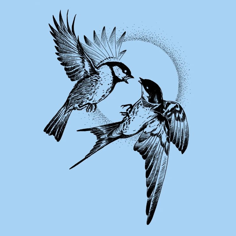 Combat d’oiseaux