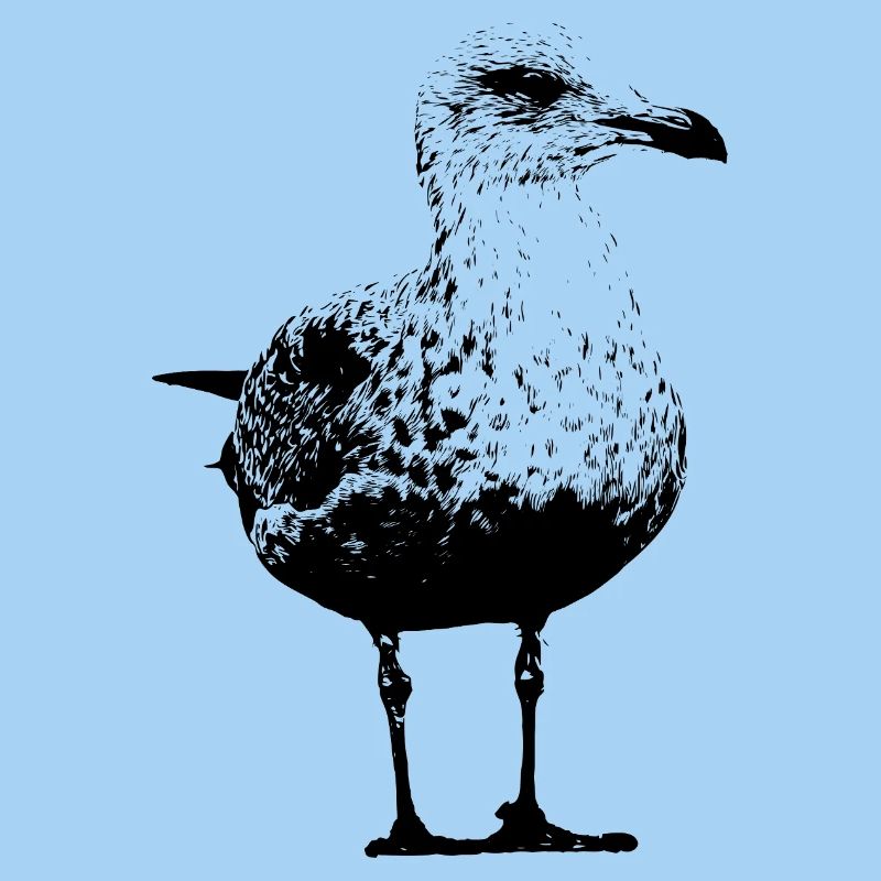 Gull