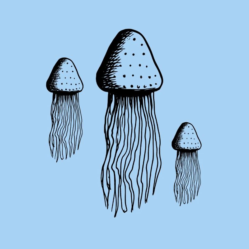 Méduse