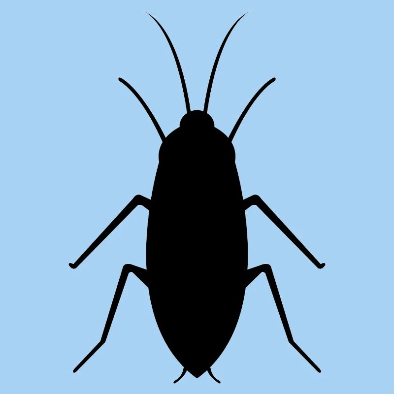 cockroach