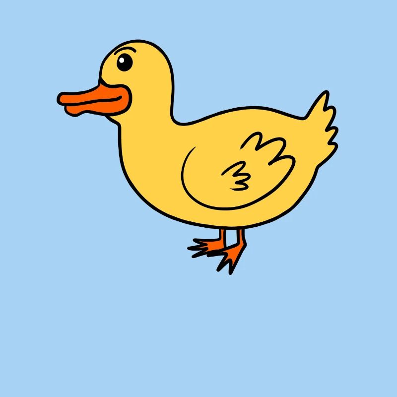 Canard