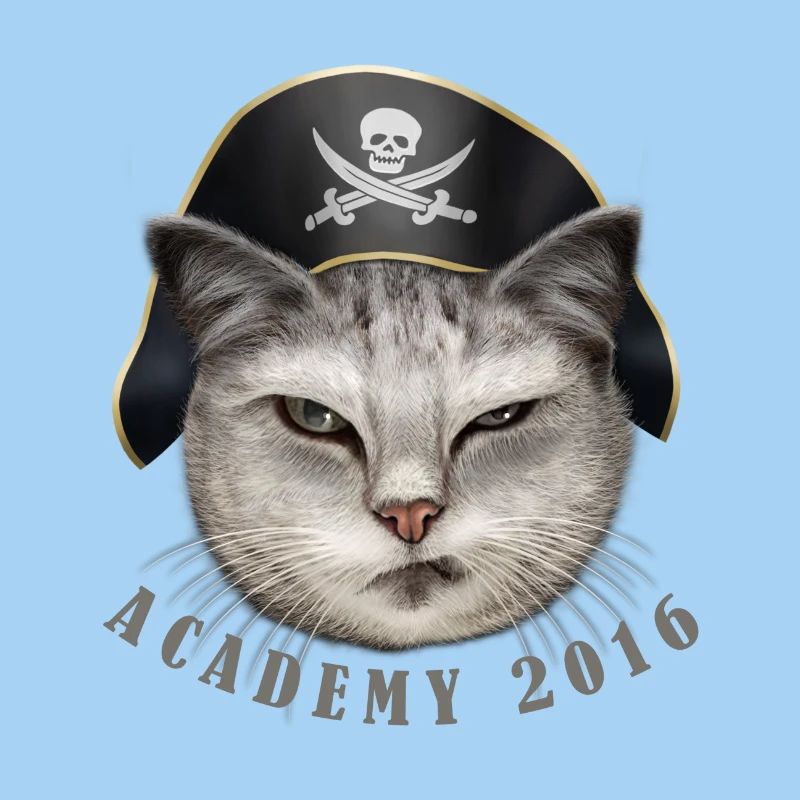 THE PIRATE CAT ACADEMY