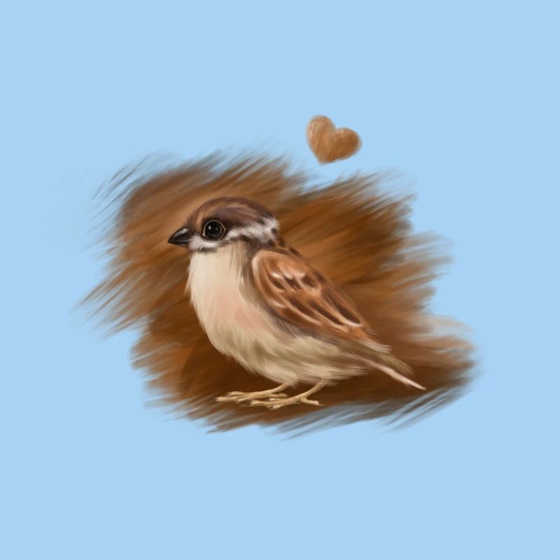 sparrow