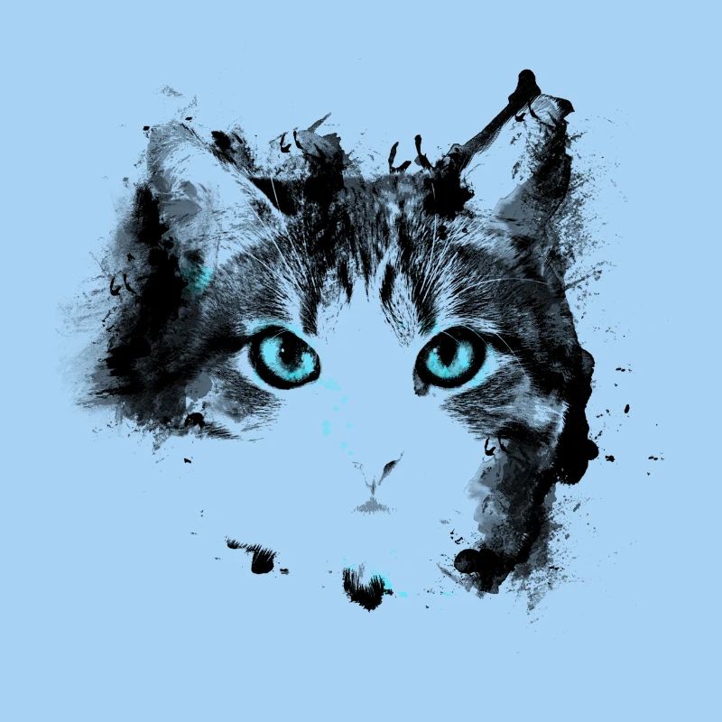 Yeux chat