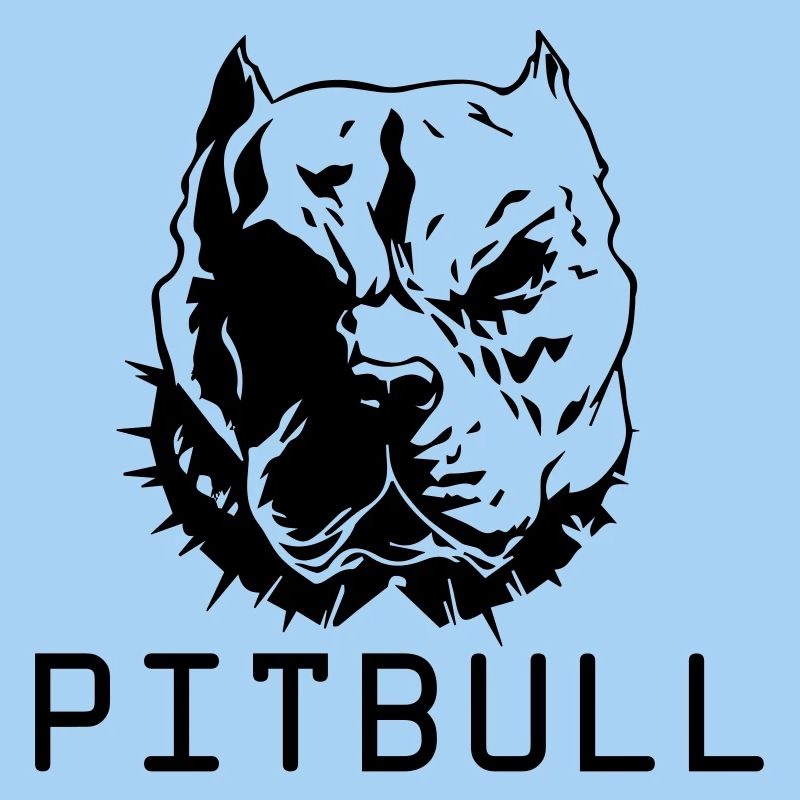 pitbull dog