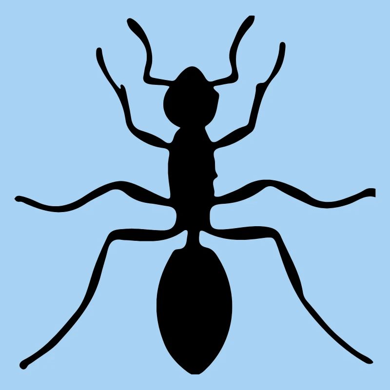 ant