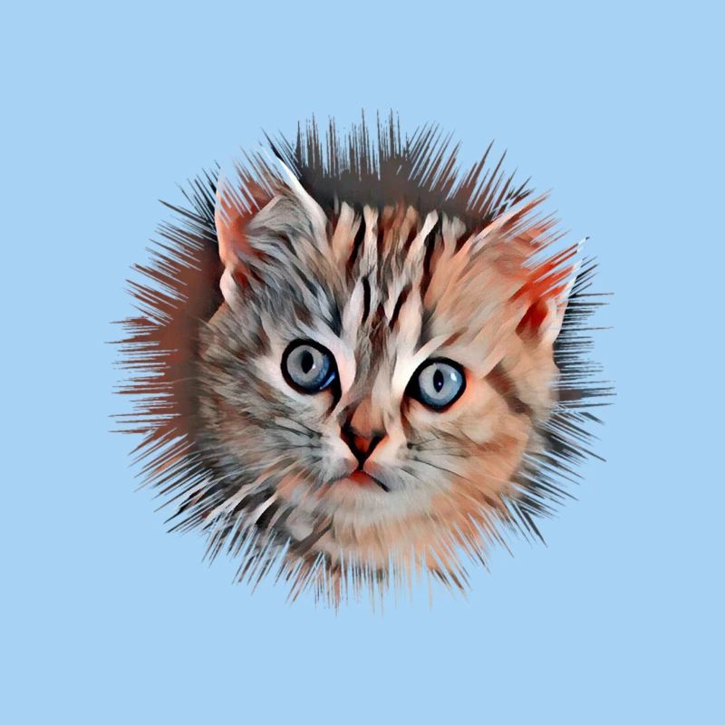 Chat