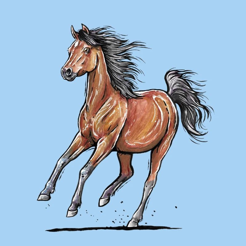 Cheval arabe au galop