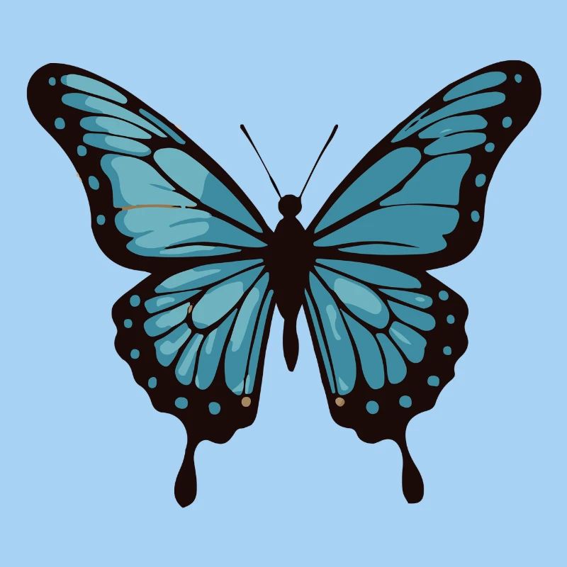 Papillon