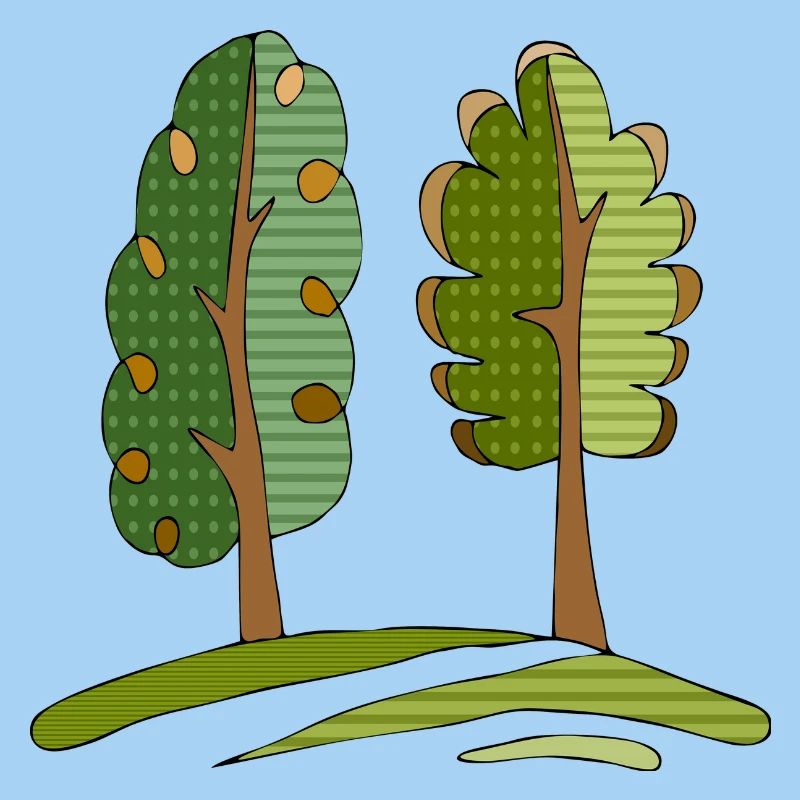 Baum