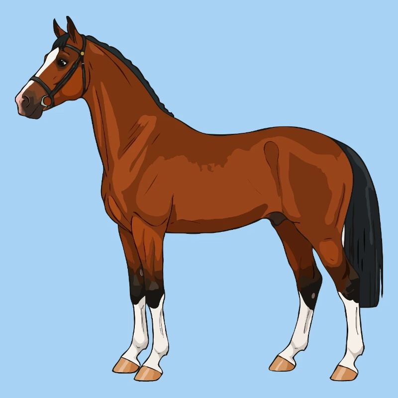 Cheval de Hackney réel