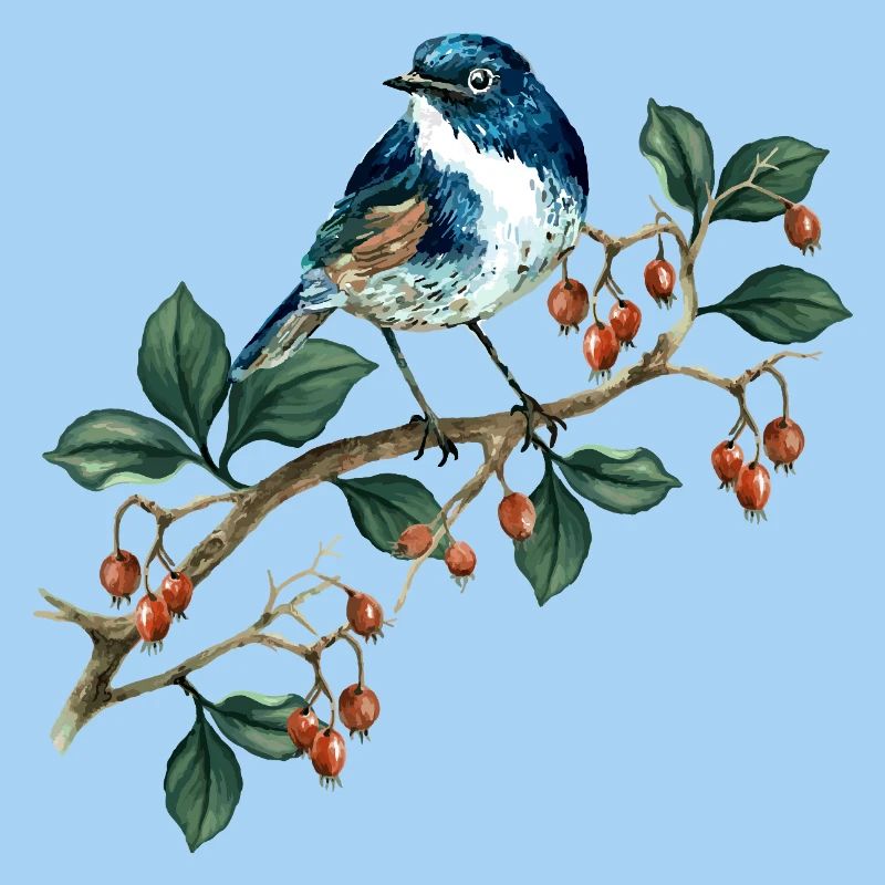 Oiseau coloré