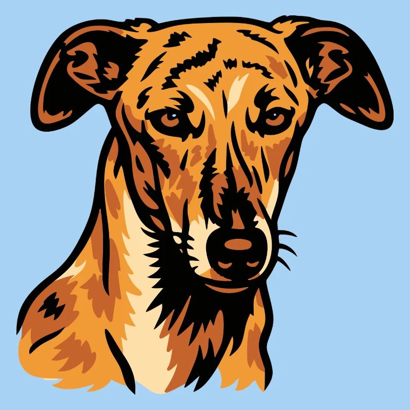 Galgo Español – Grâce Espagnole