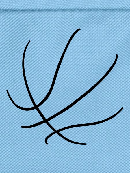 Basketball, dunking