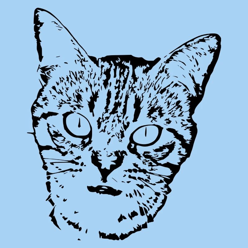 Schwarze Katze Katze Süßes Kätzchen Weihnachtsgeschenk