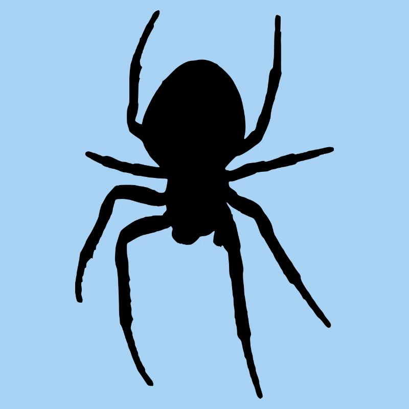 spid 2