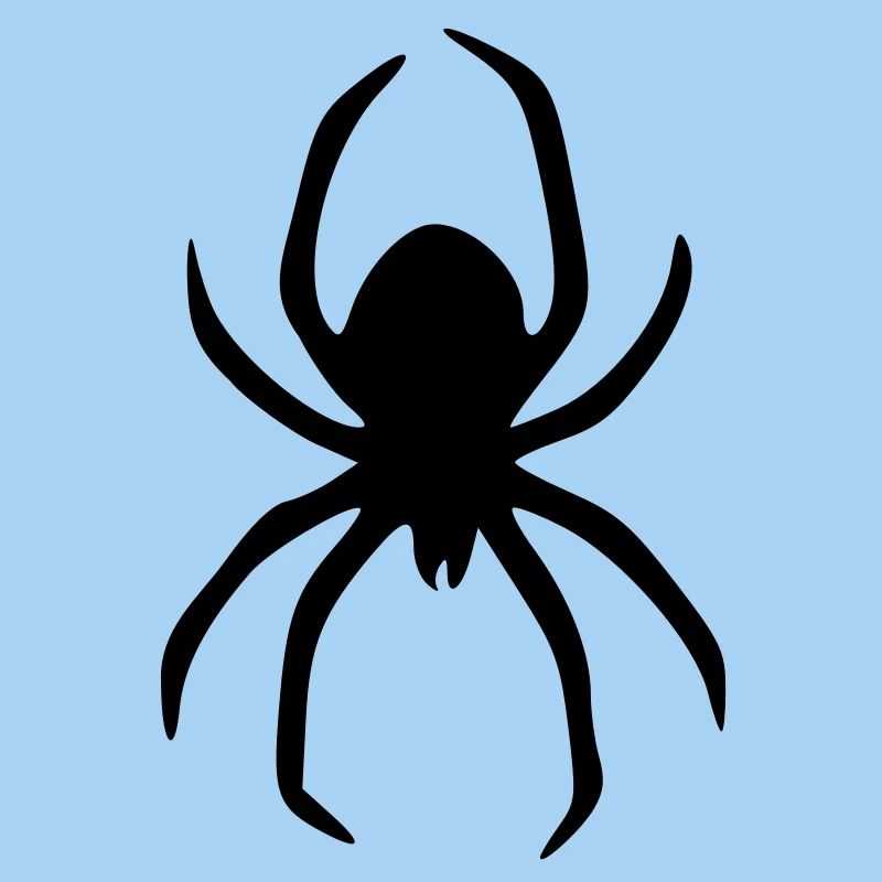 spinne