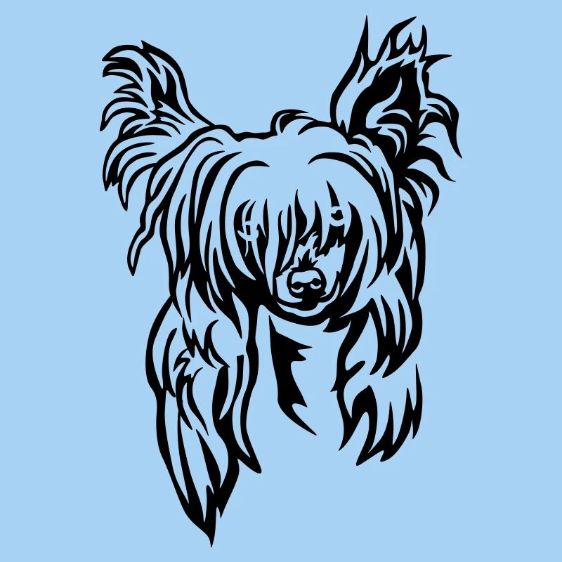 Chinese Crested Head