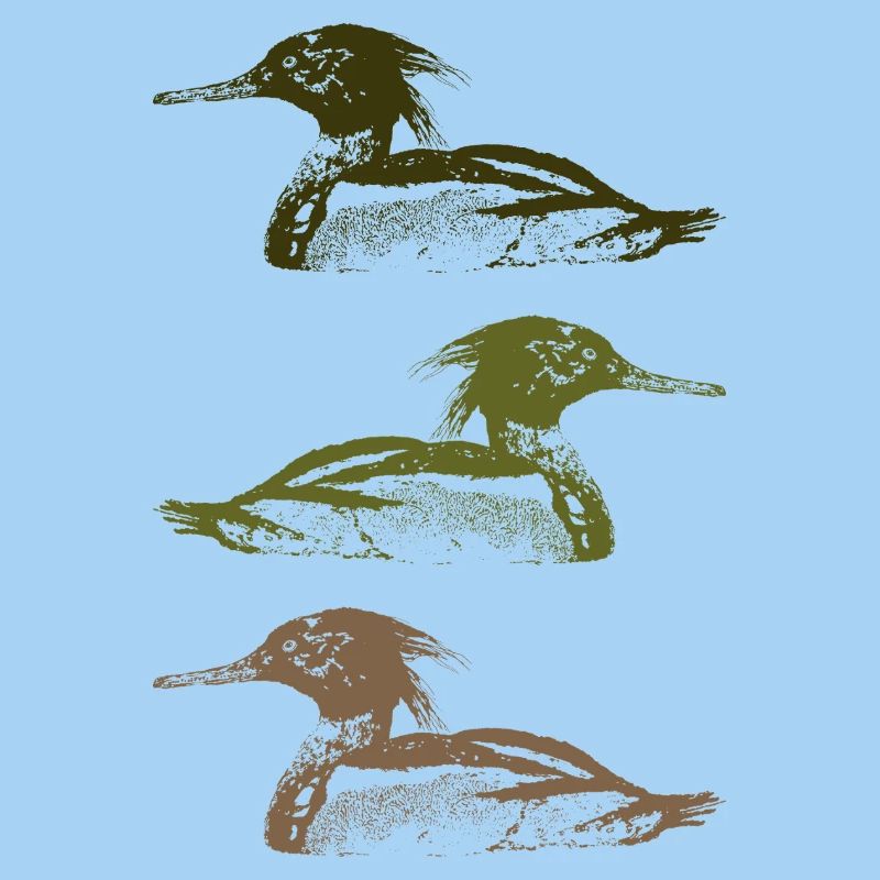 MERGUS