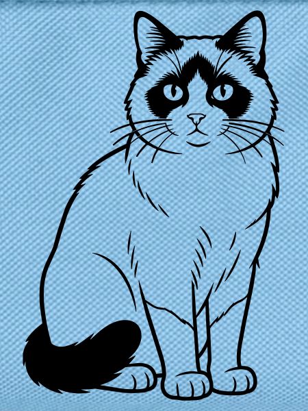 Chat Raquette