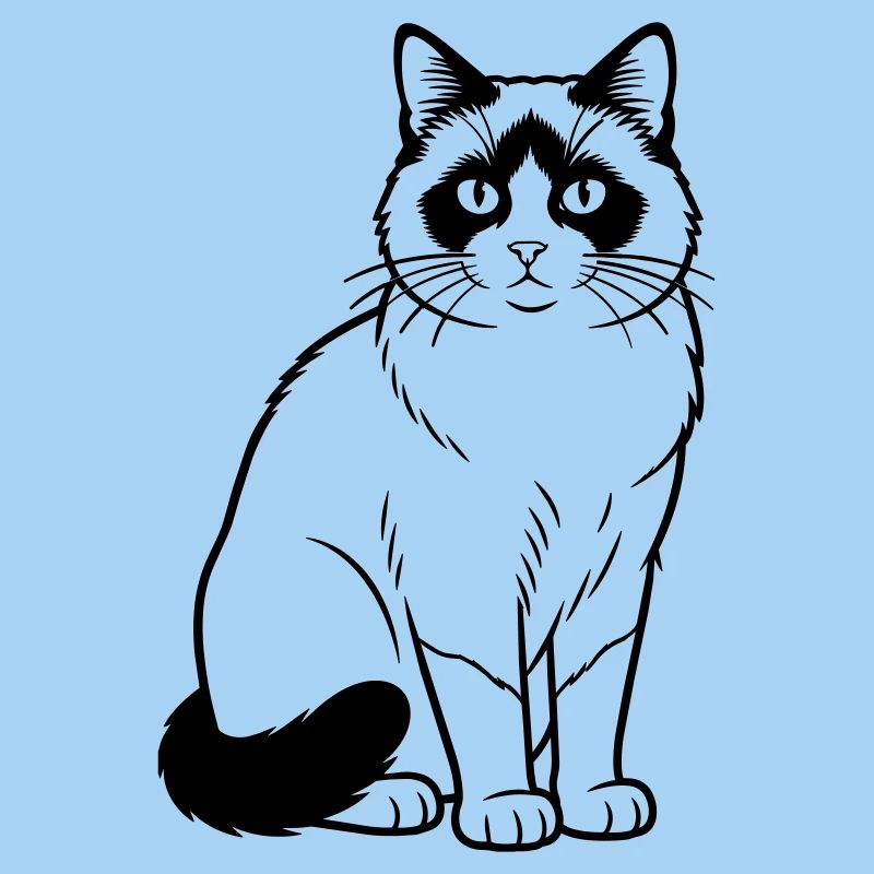Chat Raquette