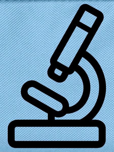 Microscope