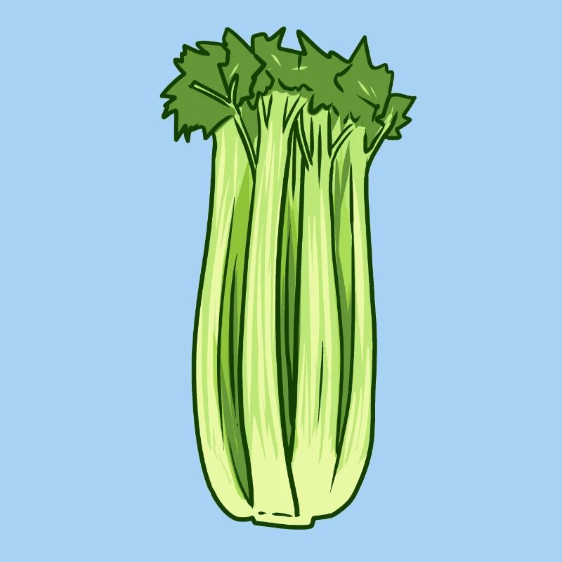 Céleri céleri Légumes Crudités Bio Vegan