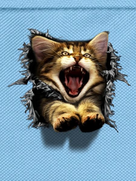 3D Katze