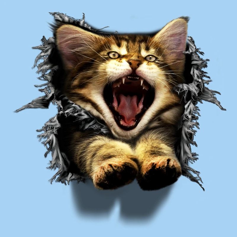 3D Katze