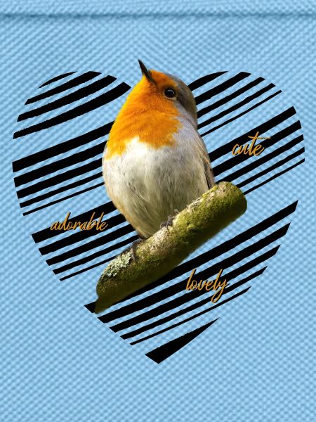 Robin Songbird