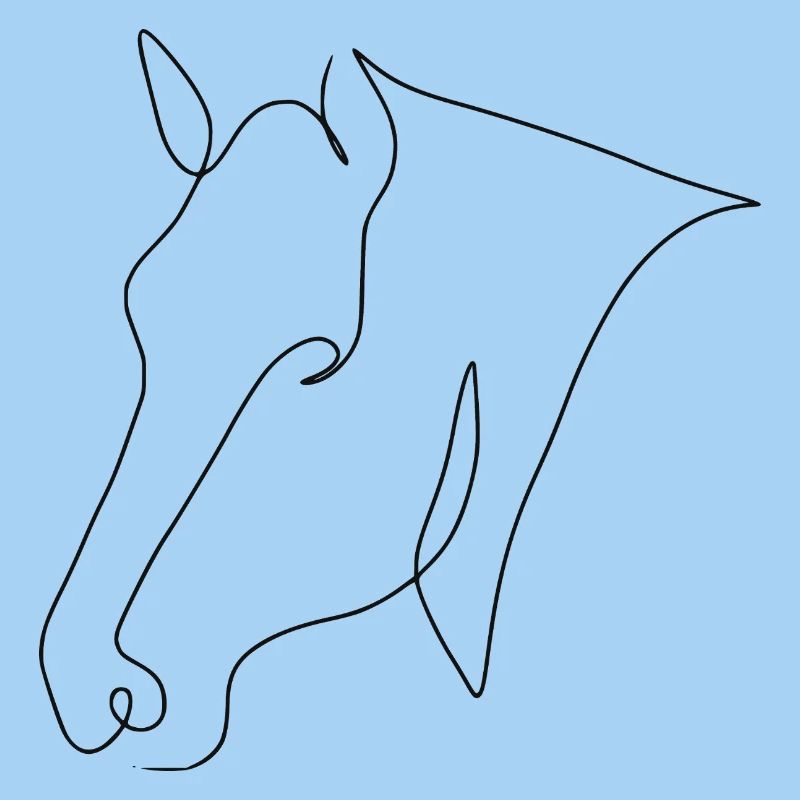 Minimal Pony schwarz