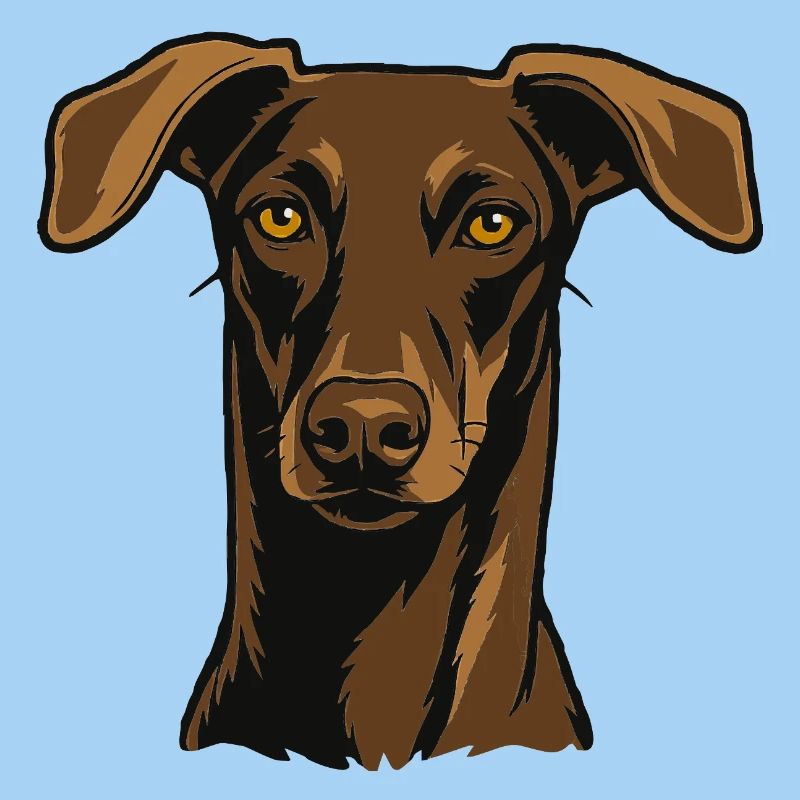 Stolzer Windhund – Edler Blick