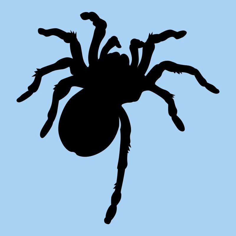 Grande araignée