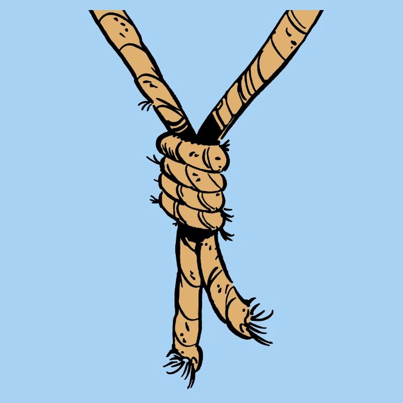 corde au cou