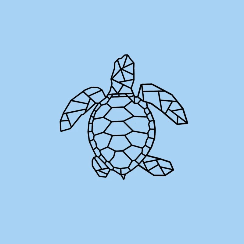 Turtle gift idea