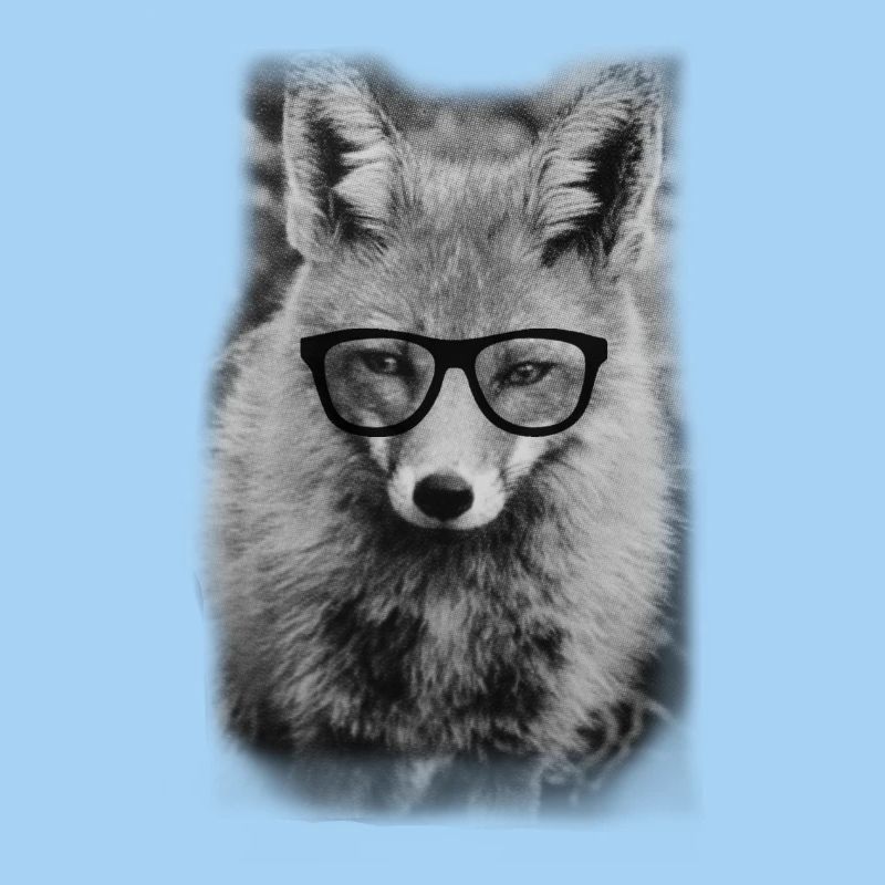 Nerd Fox