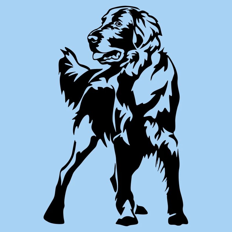 Flat-coated Retriever