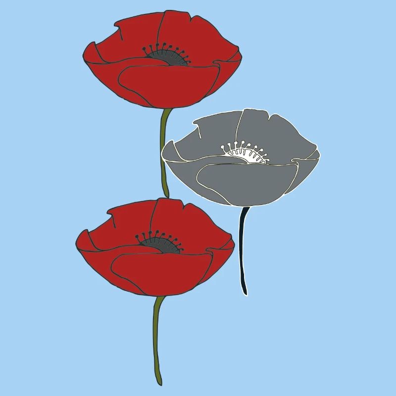 mohnblumen und grau