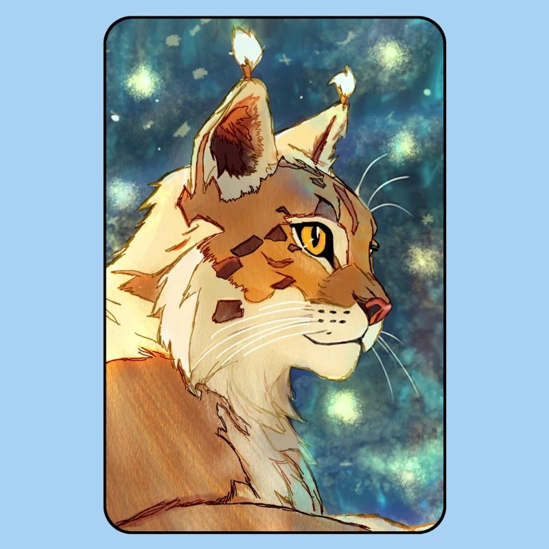 Luchs im Profil