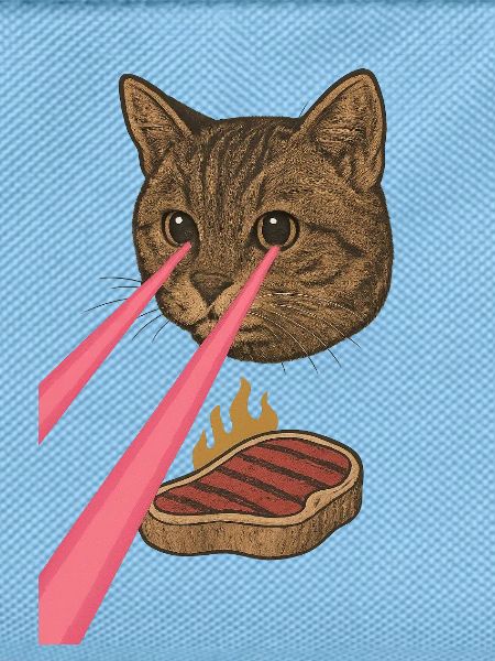 Laser Cat
