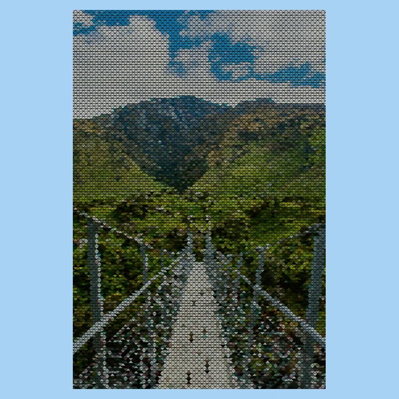 Grid path in the vineyard panorama