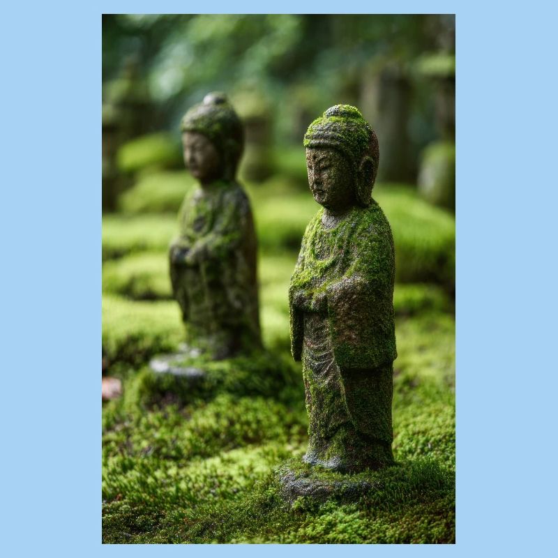 Statuen des Moos-Buddha-Gartens
