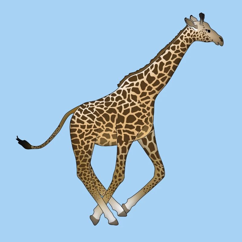 Giraffe rennt