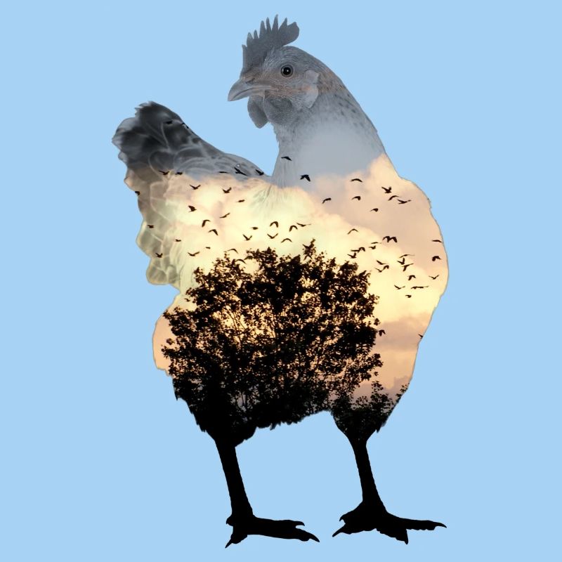poulet