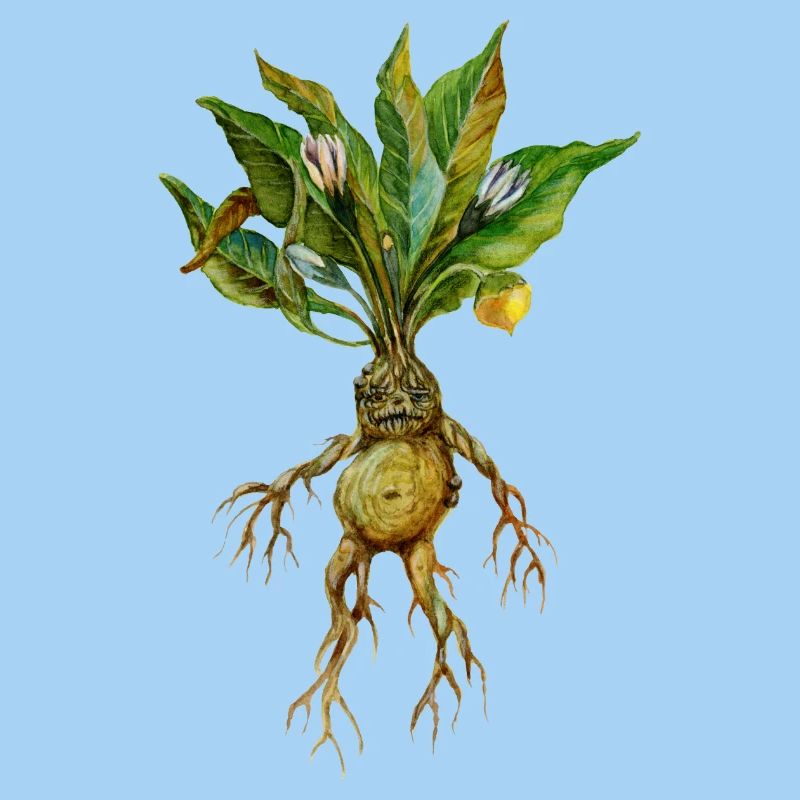 Grim Root Creature Fantasy Design