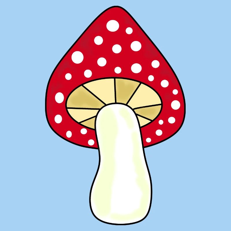 Toadstool, mushroom in the woods gift